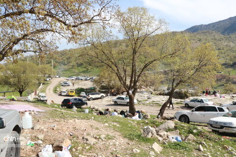 رازیانه