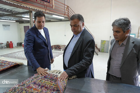 شهر جهانی گلیم سیرجان، میزبان سرپرست اداره‌کل میراث‌فرهنگی کرمان