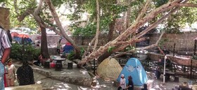 حضور پرشور گردشگران در شهرستان بافت