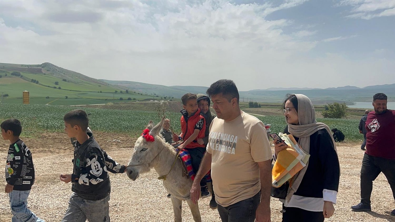 سفر به دشت شقایق ها سفر به دشت شقایق ها