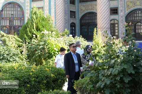 معاون الملک