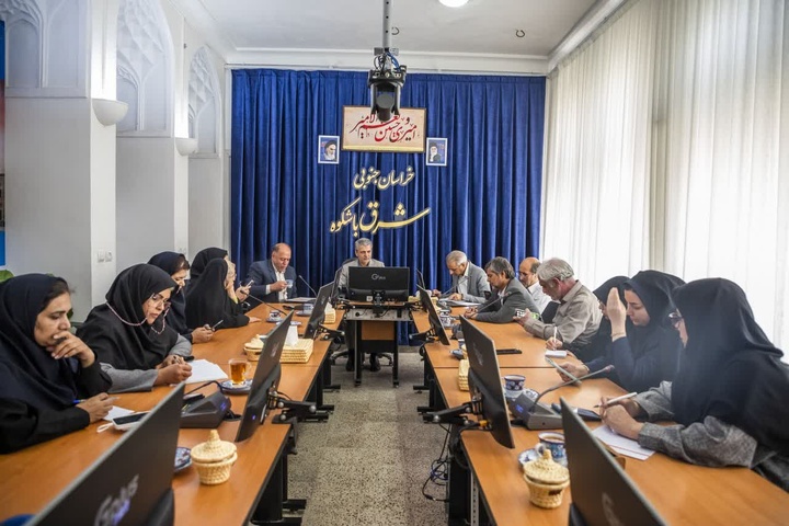 صنایع‌دستی، پیوند فرهنگ و اقتصاد در خراسان جنوبی است/ اشتغال‌زایی با سرمایه اندک