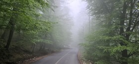 آغوش باز گلستان؛ بهار در ارتفاعات و دل‌ها