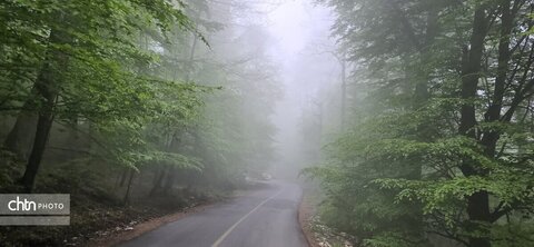 آغوش باز گلستان؛ بهار در ارتفاعات و دل‌ها