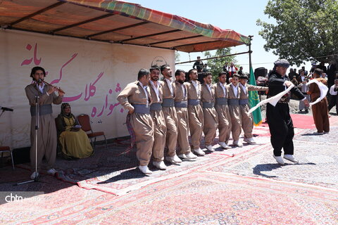 آیین گلاب‌گیری در روستای سیاحومه بانه