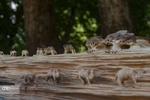 روز صنایع‌دستی