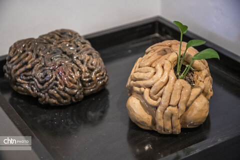 نقش ماندگار