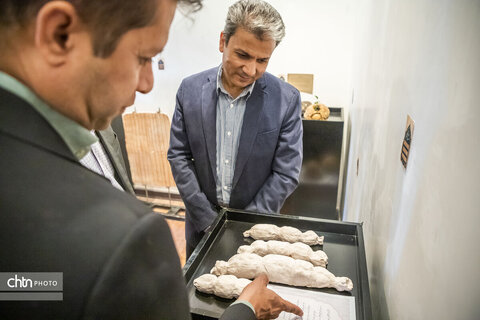 نقش ماندگار