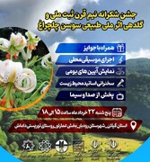 جشن باشکوه شکرانه نیم قرن ثبت ملی سوسن چلچراغ در داماش  