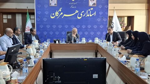 نشست استاندار هرمزگان و هنرمندان صنایع دستی