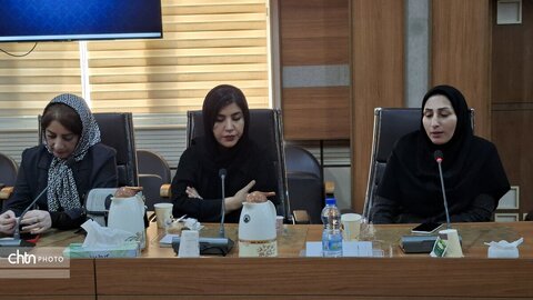 نشست استاندار هرمزگان و هنرمندان صنایع دستی