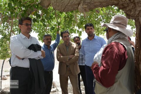 بازدید از بناهای تاریخی و پروژه های شهرستان بهاباد