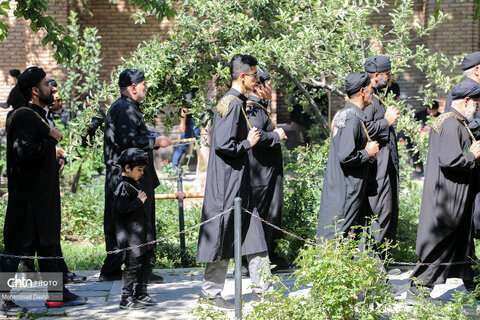 آئین سنتی «طشت گذاری» در بقعه شیخ صفی‌الدین اردبیلی