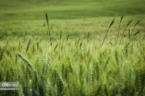 شهرستان گرمی؛ نگین سبز اردبیل