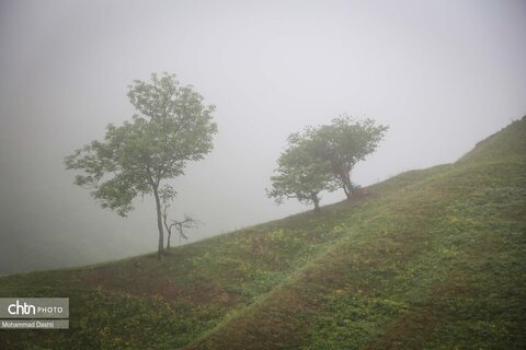 شهرستان گرمی؛ نگین سبز اردبیل