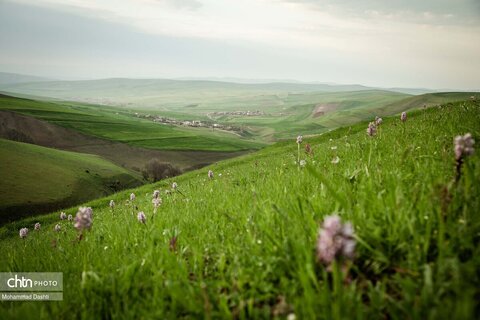 شهرستان گرمی؛ نگین سبز اردبیل
