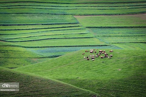 شهرستان گرمی؛ نگین سبز اردبیل