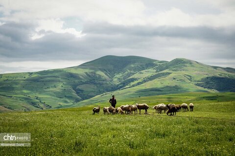 شهرستان گرمی؛ نگین سبز اردبیل