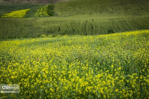 شهرستان گرمی؛ نگین سبز اردبیل