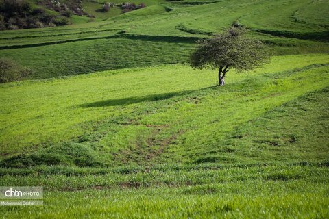 شهرستان گرمی؛ نگین سبز اردبیل