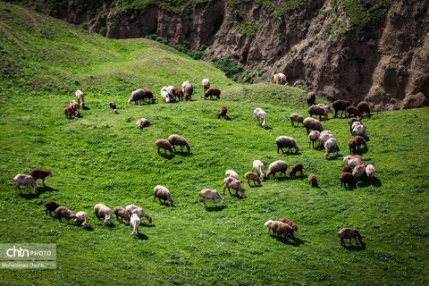 شهرستان گرمی؛ نگین سبز اردبیل