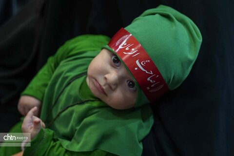 شیرخوارگان حسینی در شیراز