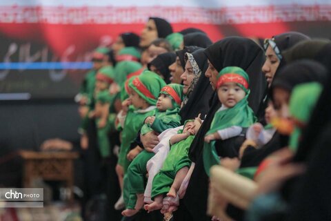 شیرخوارگان حسینی در شیراز