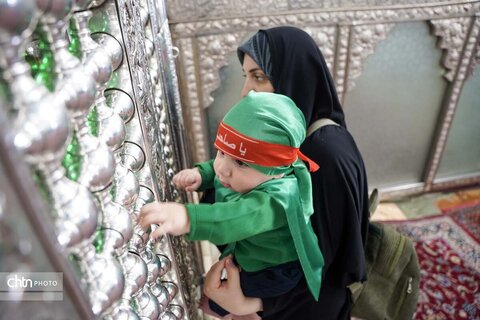 شیرخوارگان حسینی در شیراز