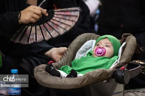 همایش شیرخوارگان حسینی در زنجان برگزار شد