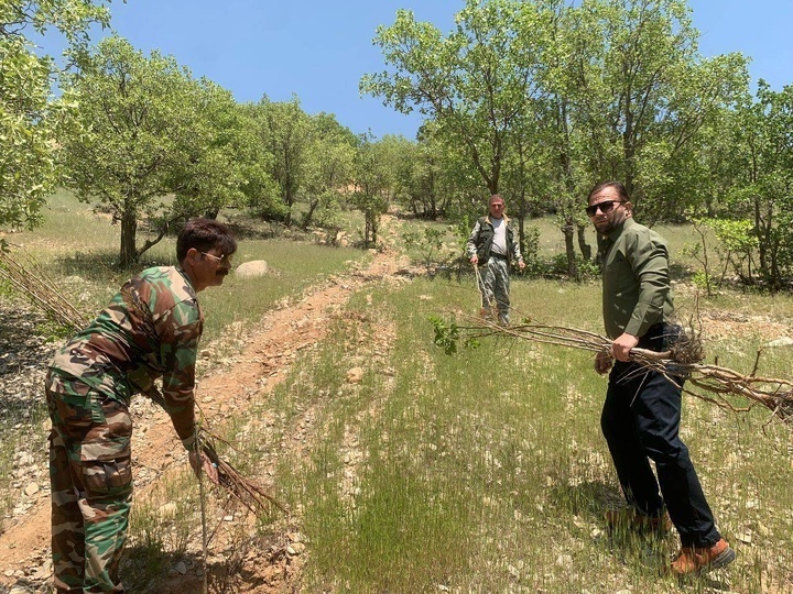 رفع تصرف حدود ۲۰۰ هکتار از اراضی ملی در کهگیلویه و بویراحمد