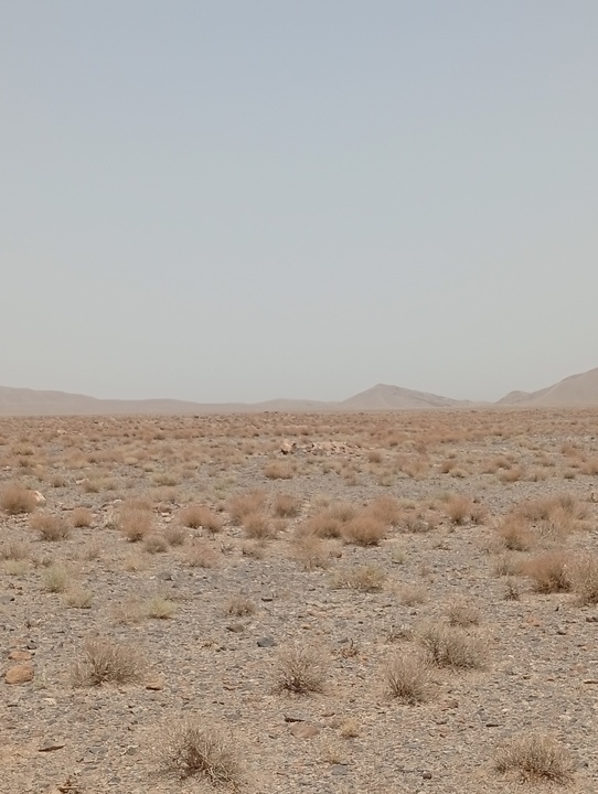 کشف بزرگترین گورستان تاریخی ایران در خاک راز آلود بهاباد؟