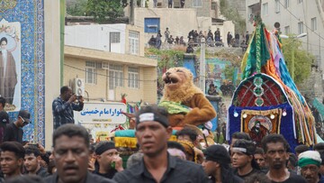 «شیر و کتل» میناب؛ بازنمایی میدانی و نمادین از واقعه عاشورا