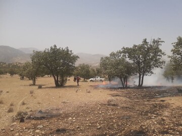 آتش سوزی در منطقه حفاظت شده دنا تحت کنترل است