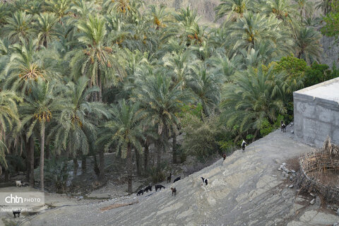 روستای آبند