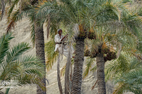 روستای آبند