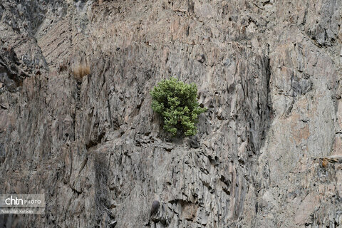 روستای آبند