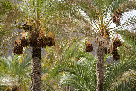 روستای آبند