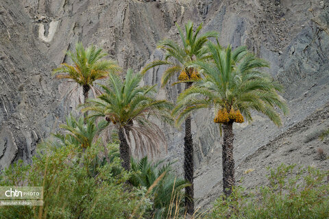 روستای آبند