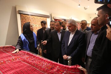 بازدید صالحی‌امیری از گنجینه فرش‌های اصیل ایران‌زمین/ موزه فرش گنبدکاووس، آیینه اصالت ترکمن