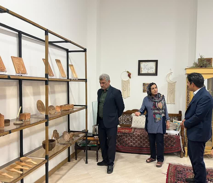 با هدف رفع مشکلات واحدهای خصوصی از بازار هنر شیراز بازدید شد