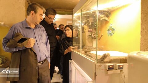 بازدید معاون توسعه مدیریت و منابع  وزارت میراث‌فرهنگی از موزه بزرگ و بافت تاریخی یزد