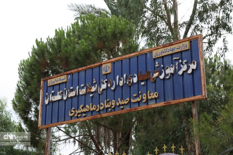 روز دوم
