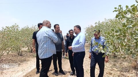 گردشگری کشاورزی شهرستان انار، ظرفیتی قابل‌توجه برای توسعه در این منطقه است