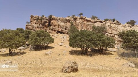 ثبت جهانی غارهای پیش از تاریخ و یک پناهگاه صخره ای در کمیته میراث جهانی  در شهر پاریس