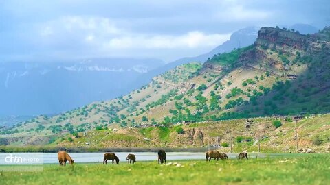 دشت شیمبار خوزستان؛ دشتی به شیرینی بهار