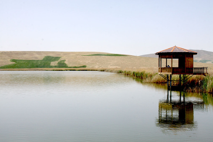 آغاز آب‌گیری تالاب بین‌المللی حسنلو نقده