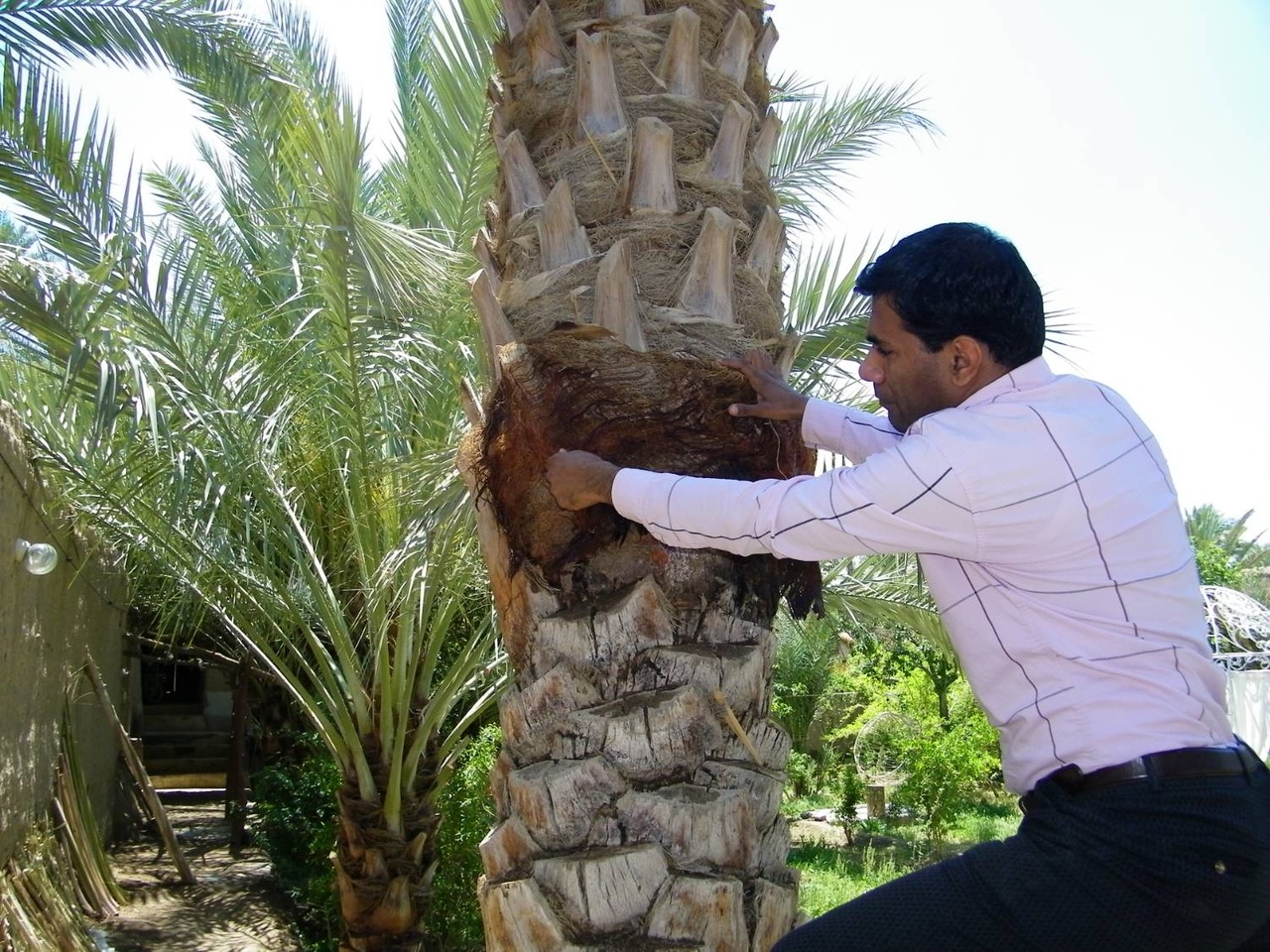 هنر منال بافی، تکیه‌گاه معتبر رشته‌های صنایع‌دستی شهرستان بافق