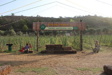 نخستین موزه تاریخ کشاورزی شمال کشور در گرگان راه‌اندازی می‌شود