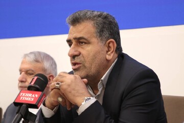 صنایع‌دستی پیونددهنده خرده‌فرهنگ‌ها و راهکاری کم‌هزینه برای اشتغال است/ الزام بانک‌های عامل به حمایت از فعالان صنایع‌دستی 