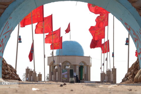 شرهانی